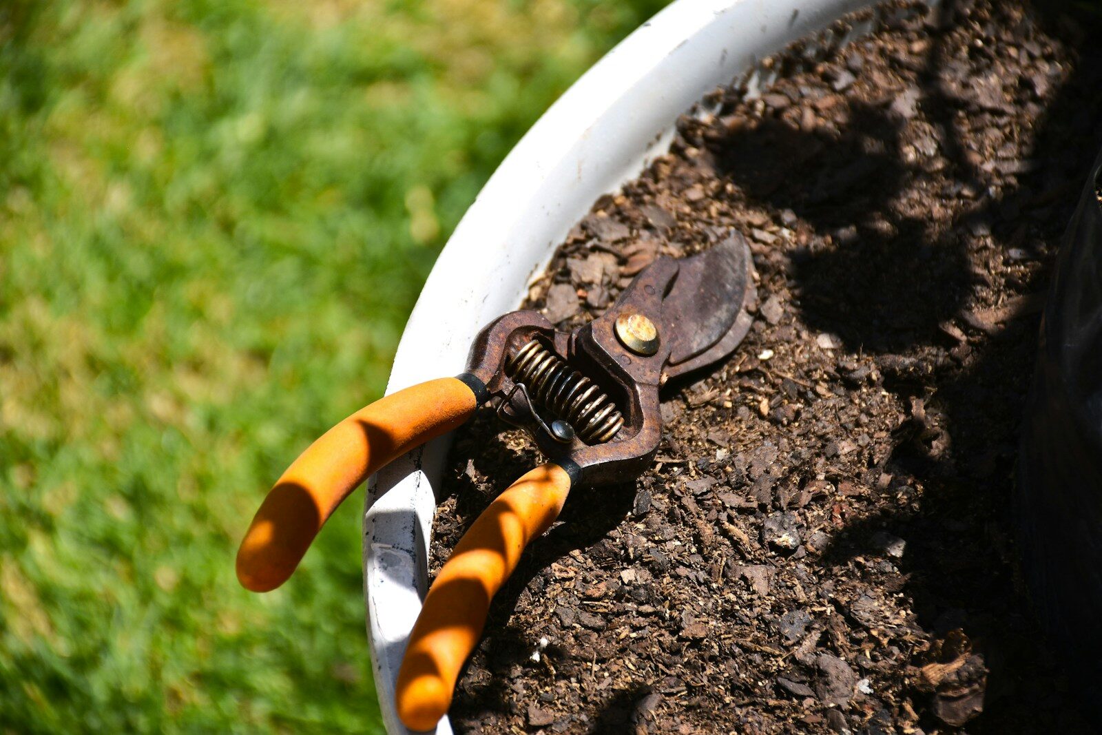Gardening shears resting in soil within a pot